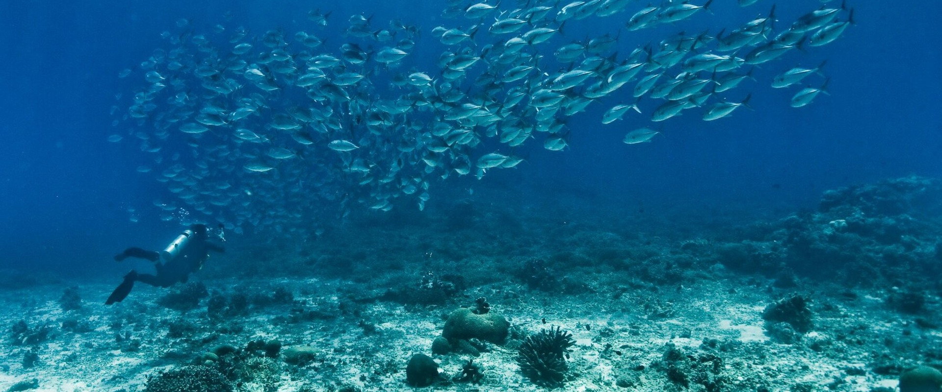 The End of the Line backdrop