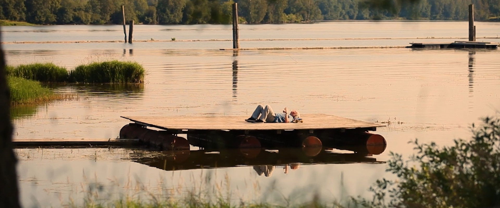 summerdream backdrop