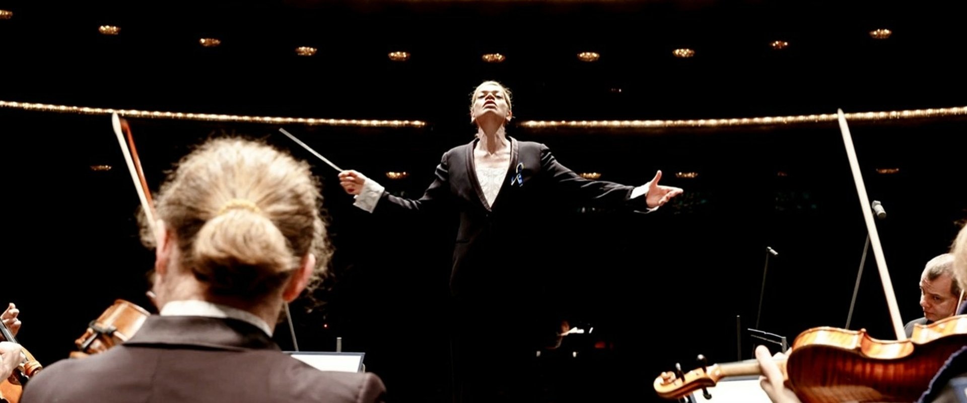 Beethoven's Nine: Ode to Humanity backdrop