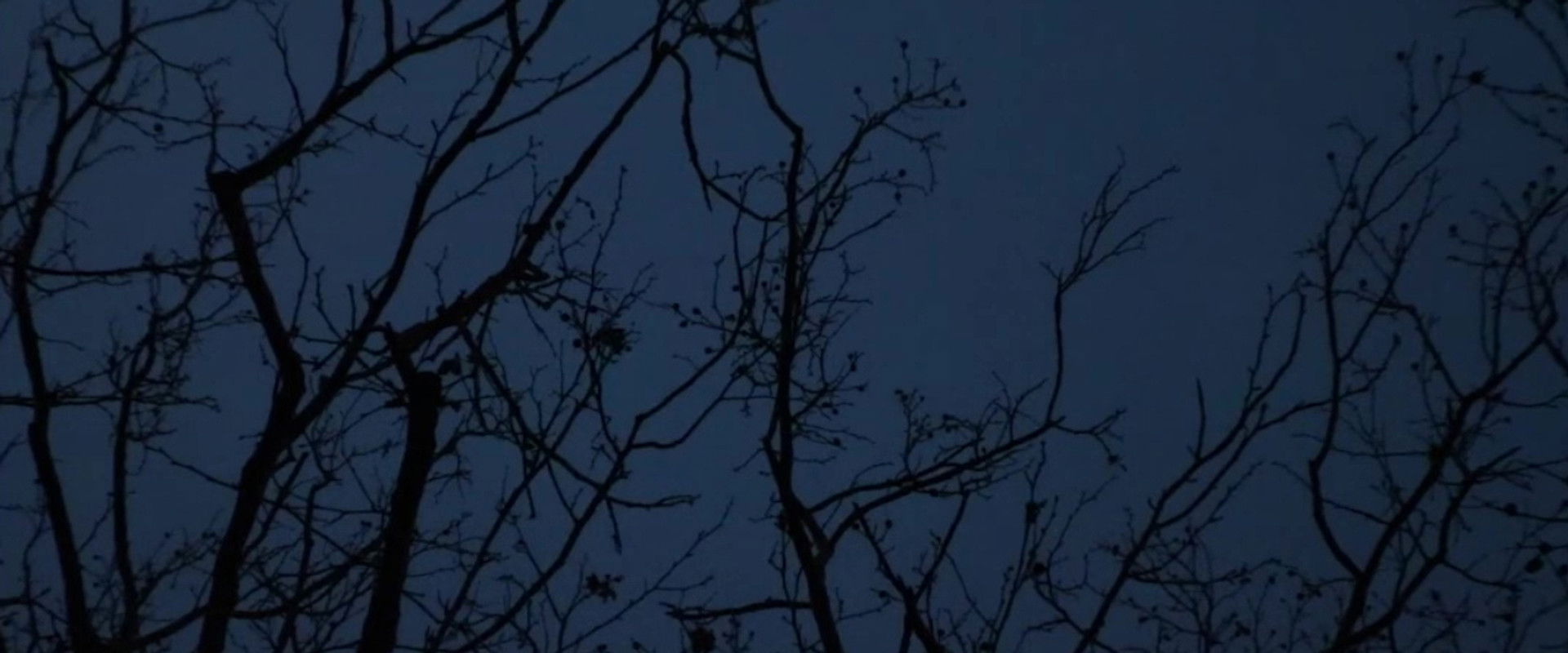 Ode to Big Booty Bitches backdrop