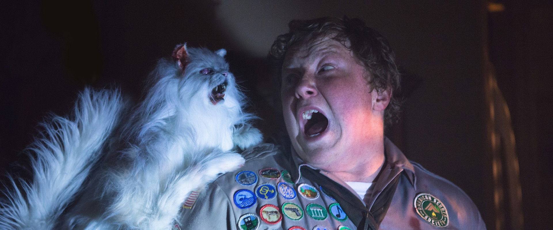 Scouts Guide to the Zombie Apocalypse backdrop