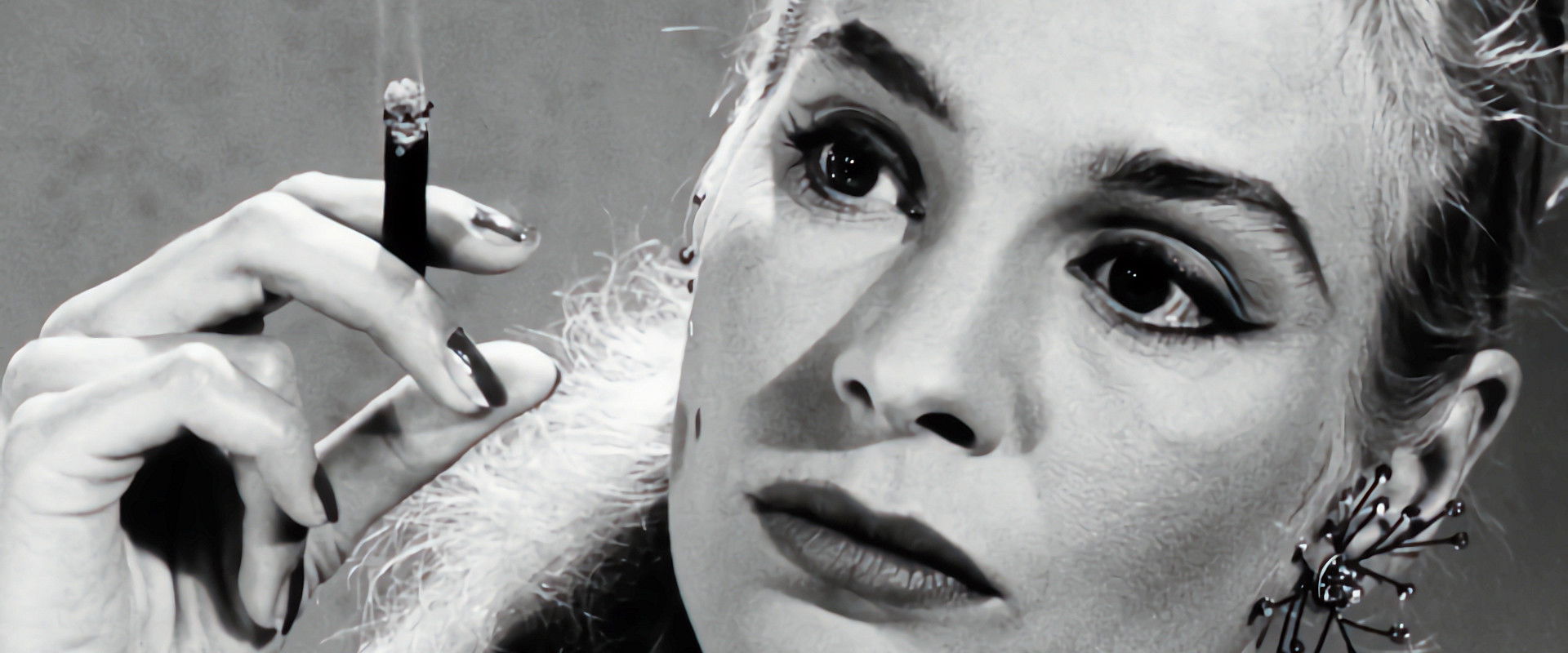 Web of Desire backdrop