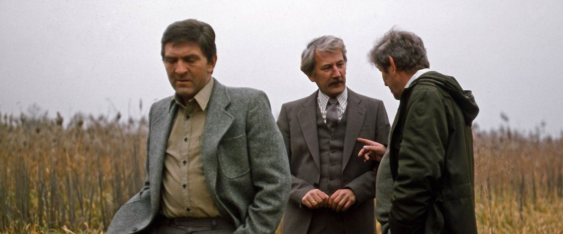 „Anna” i wampir backdrop