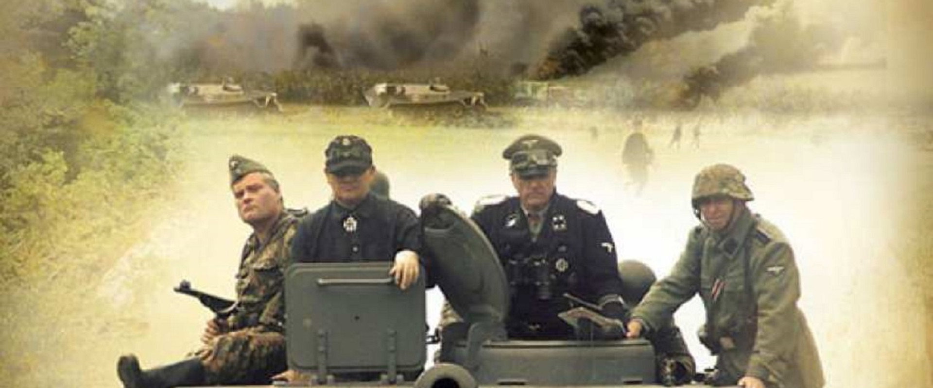 Red Rose of Normandy backdrop