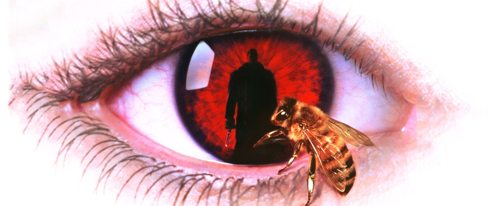 Candyman backdrop