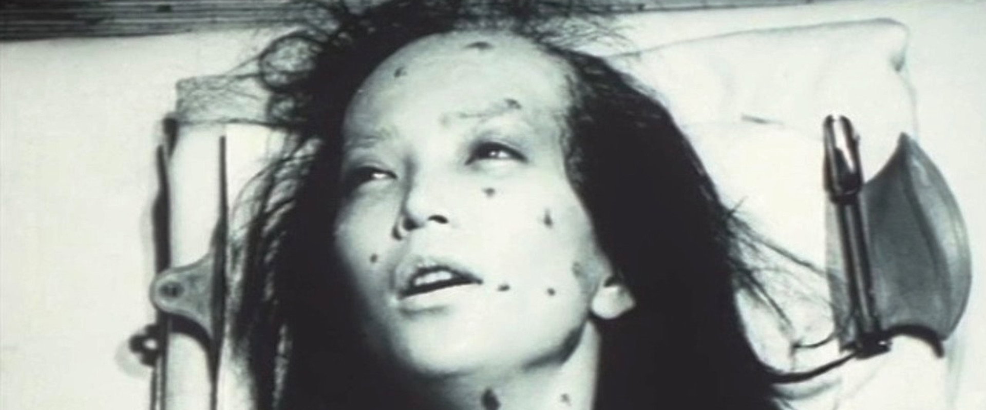 Sakura-tai Chiru backdrop