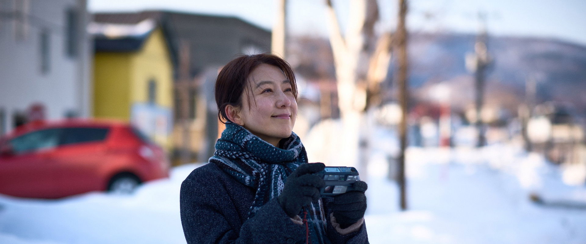 Moonlit Winter backdrop