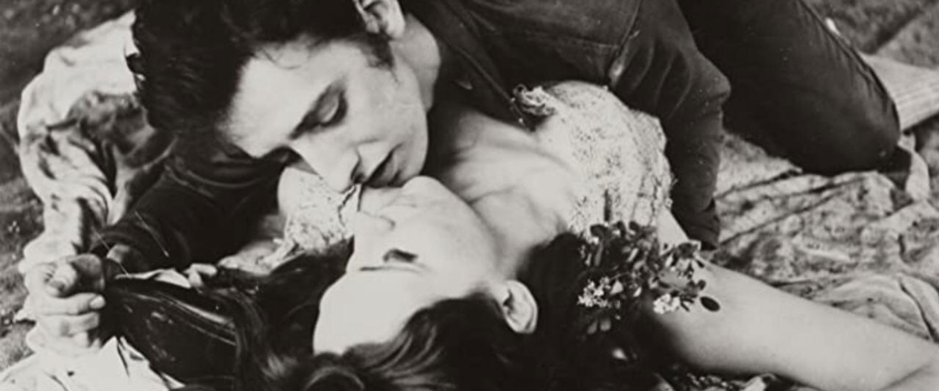 The Degenerates backdrop