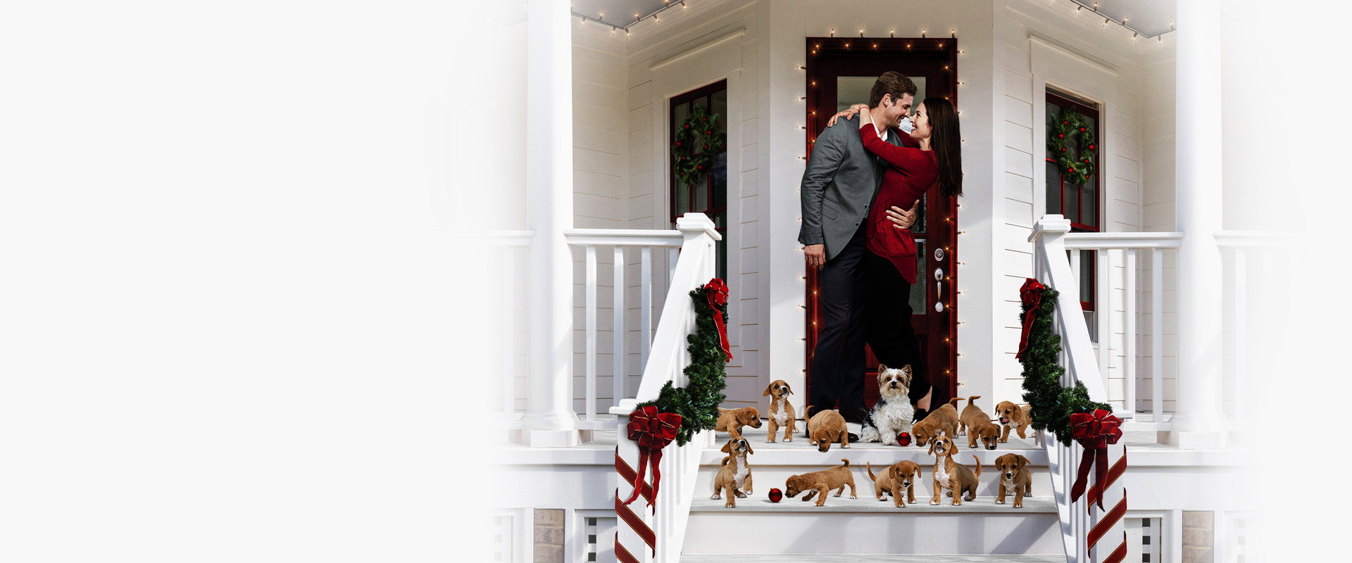 12 Pups of Christmas backdrop