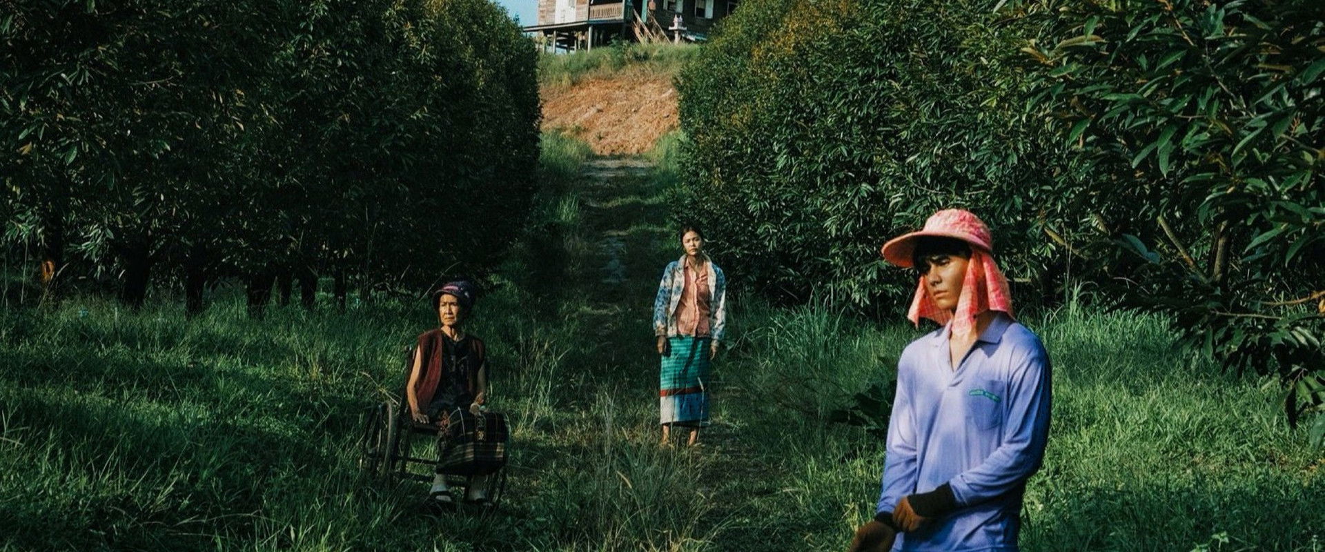 The Paradise of Thorns backdrop