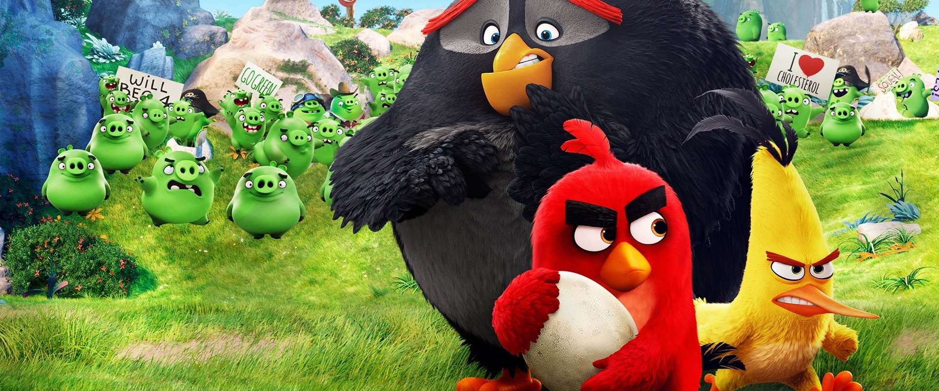 The Angry Birds Movie backdrop