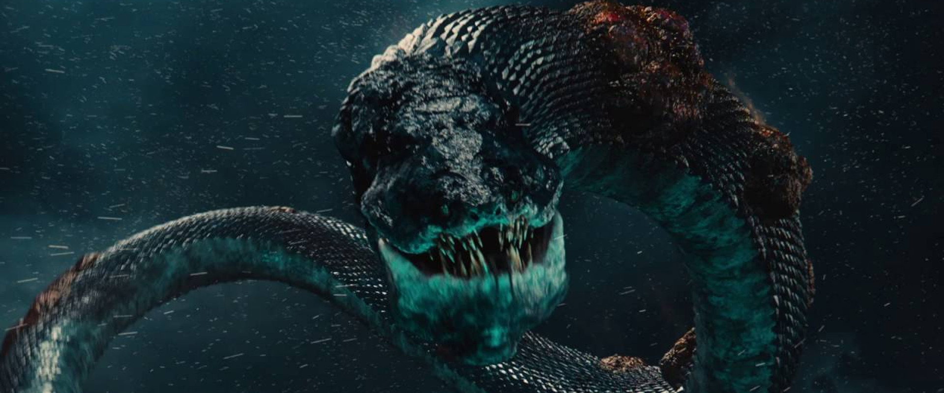 Dragons: Real Myths and Unreal Creatures backdrop