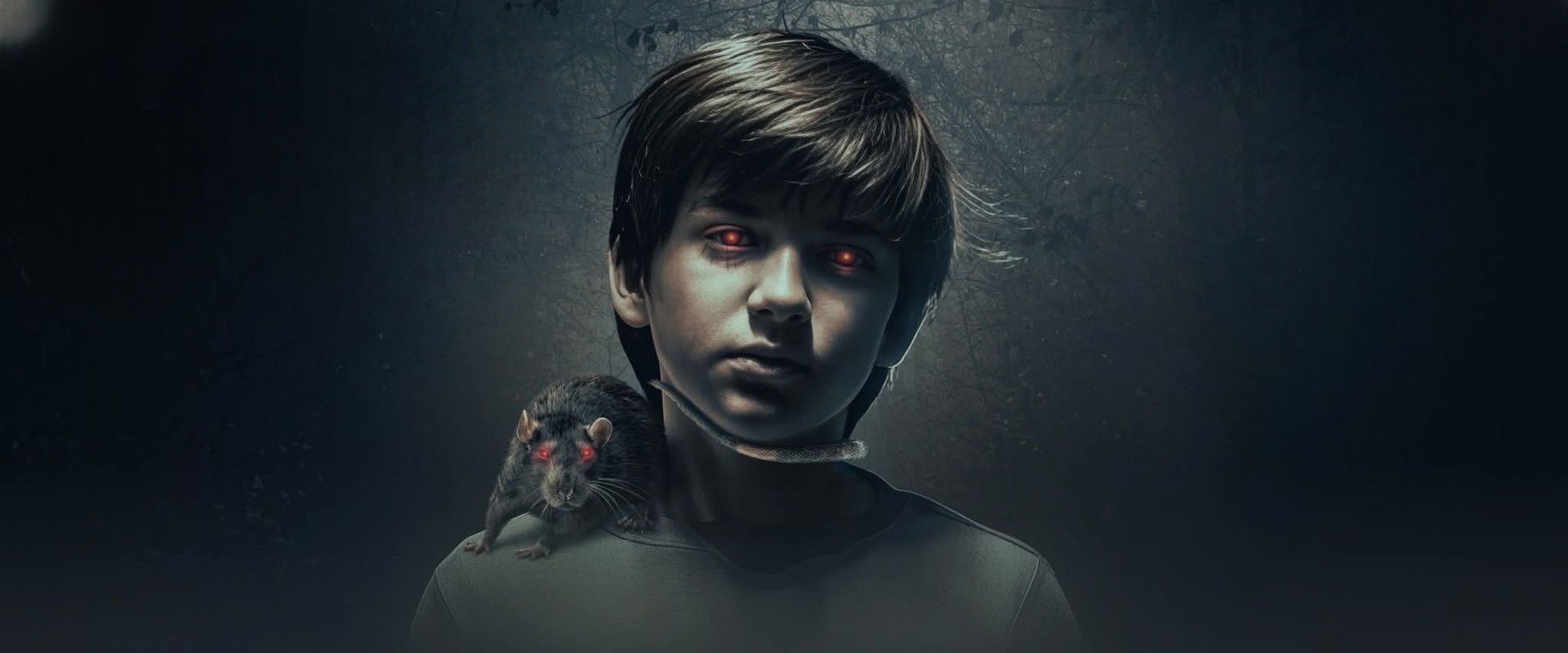 The Confession backdrop