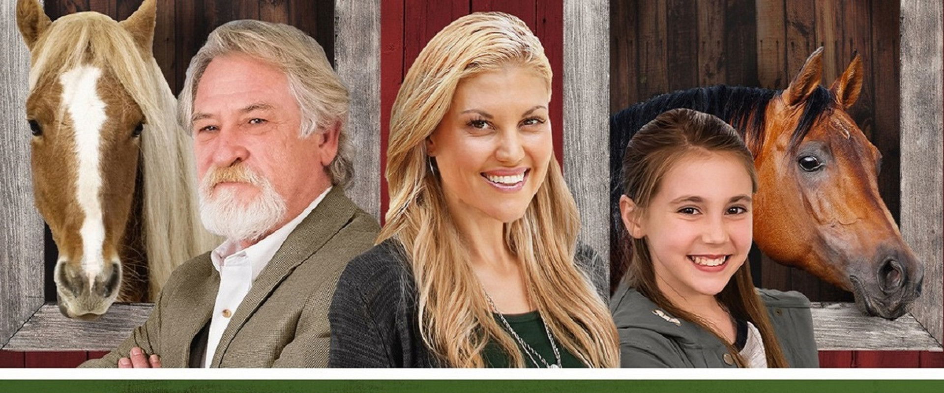 Christmas Manger backdrop