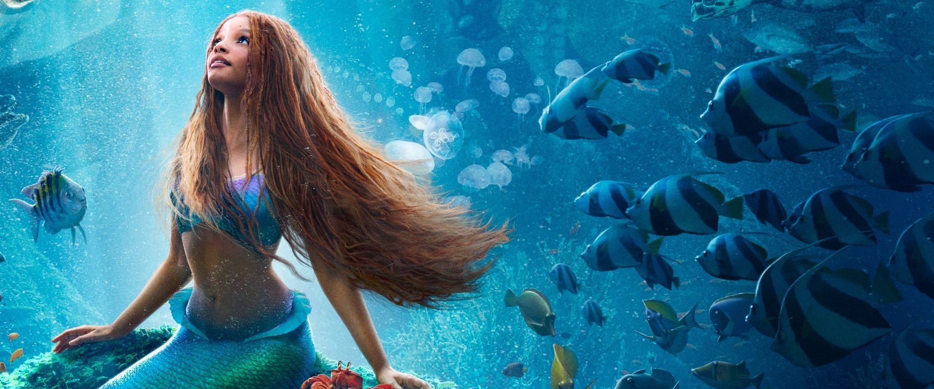 The Little Mermaid backdrop