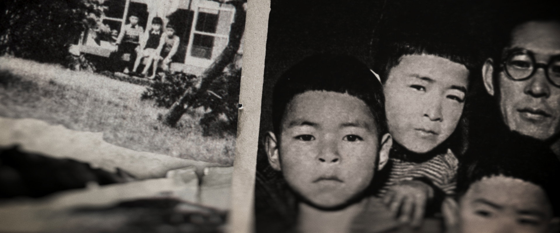 Miyazaki, Spirit of Nature backdrop