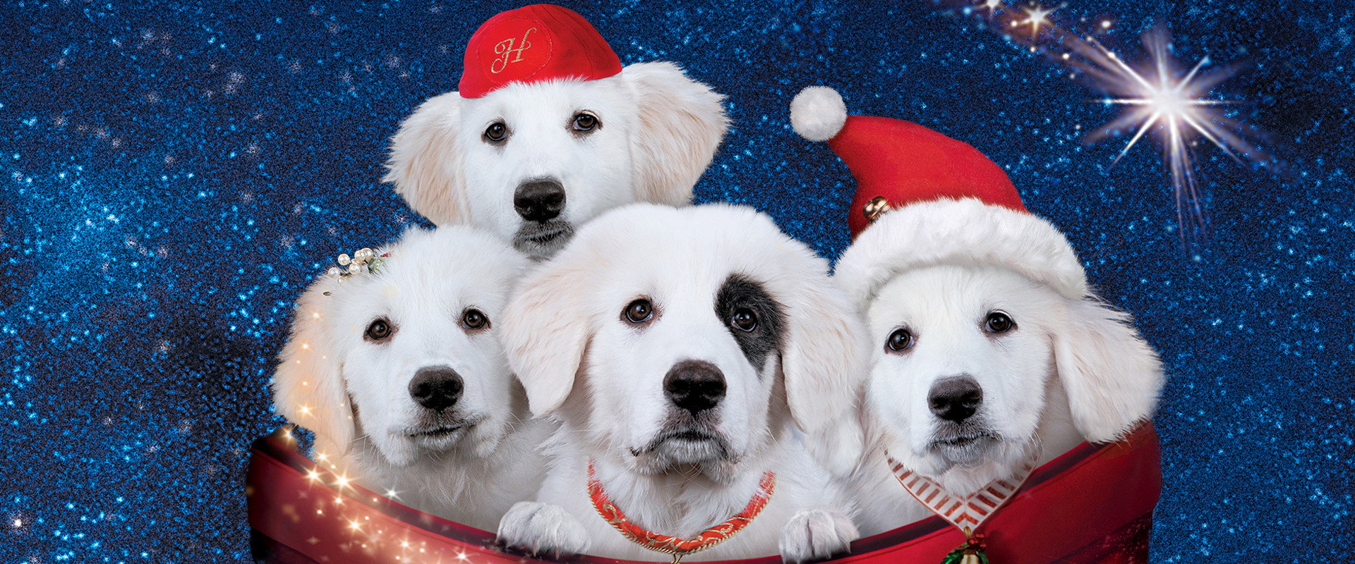 Santa Paws 2: The Santa Pups backdrop