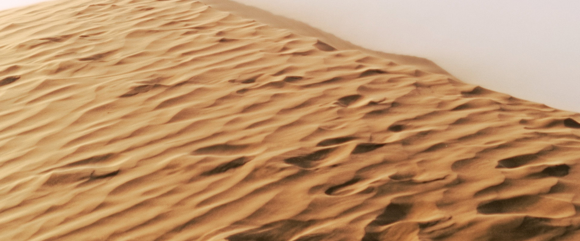 SADDAM HUSSAINÉ backdrop