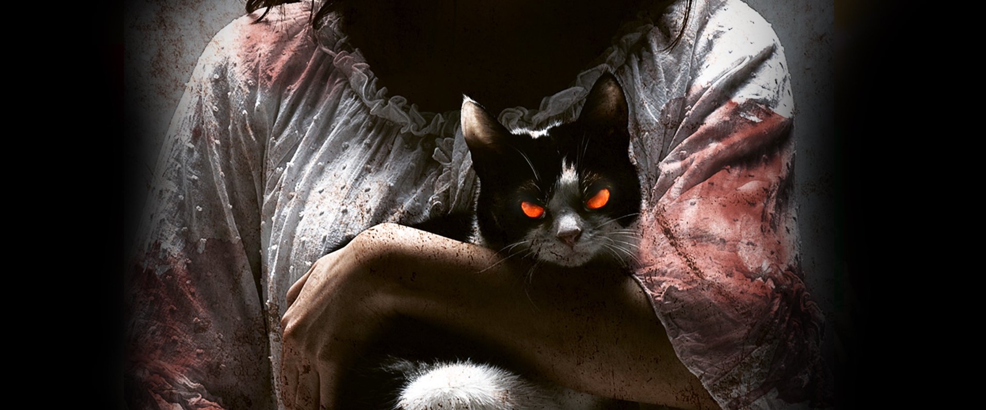 The Cat backdrop