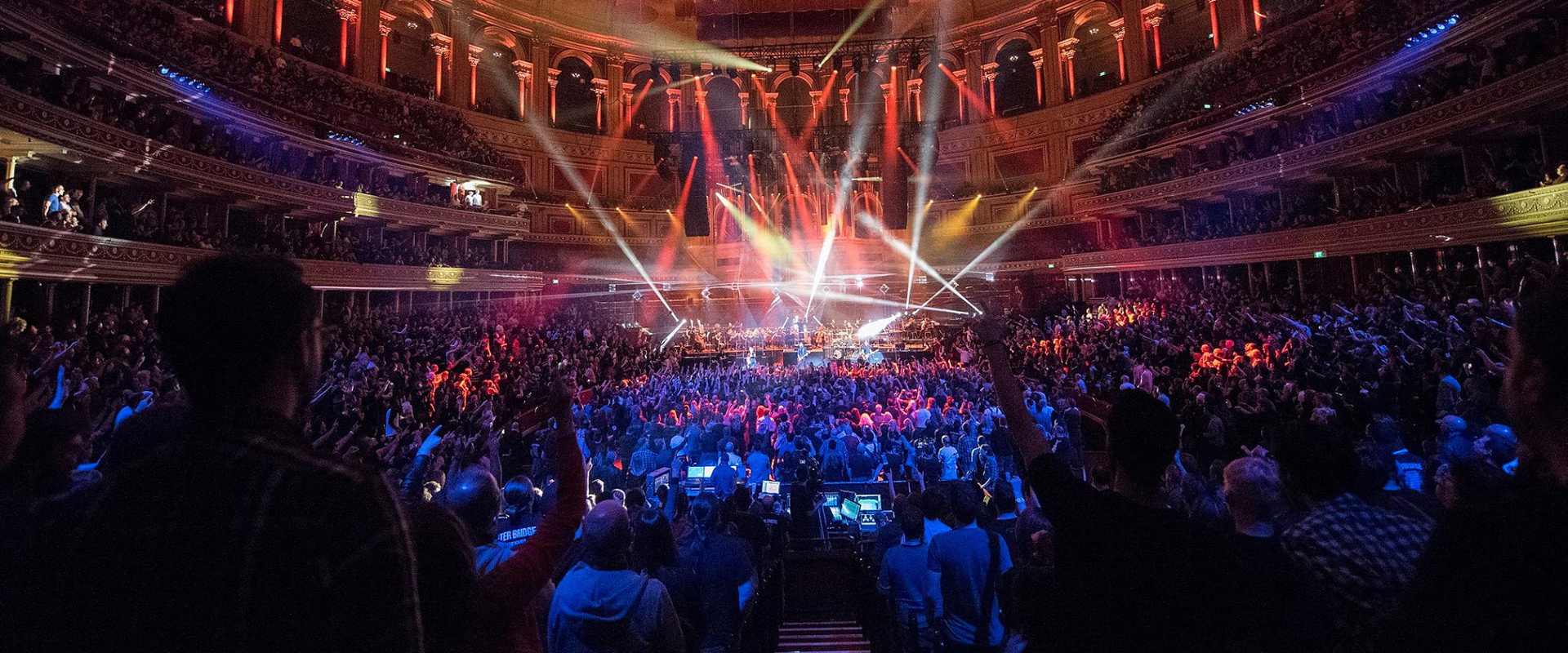 Alter Bridge - Live at the Royal Albert Hall (featuring The Parallax Orchestra) backdrop
