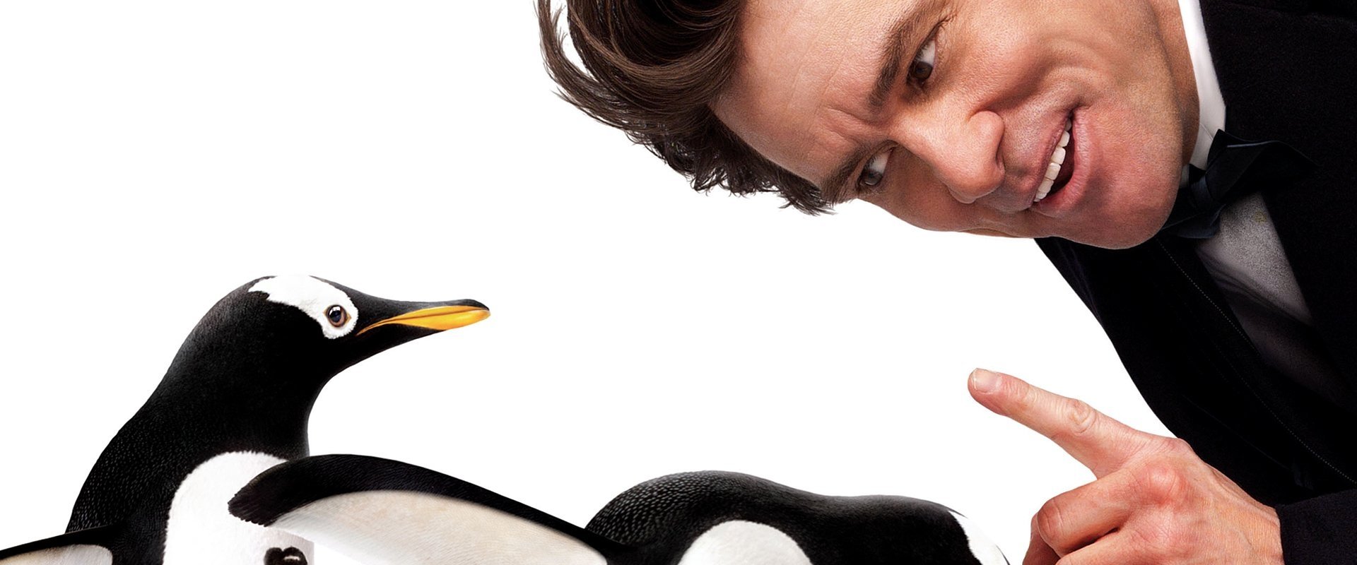 Mr. Popper's Penguins backdrop