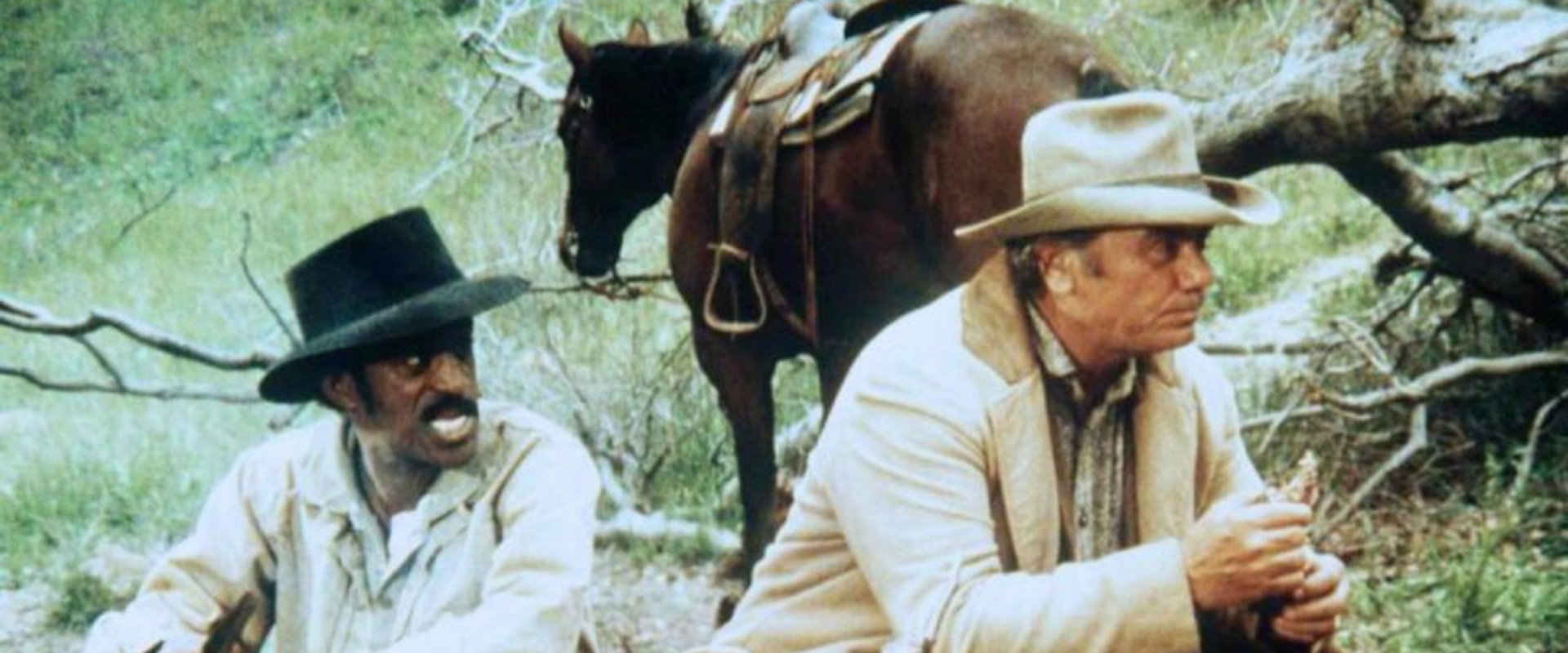 The Trackers backdrop