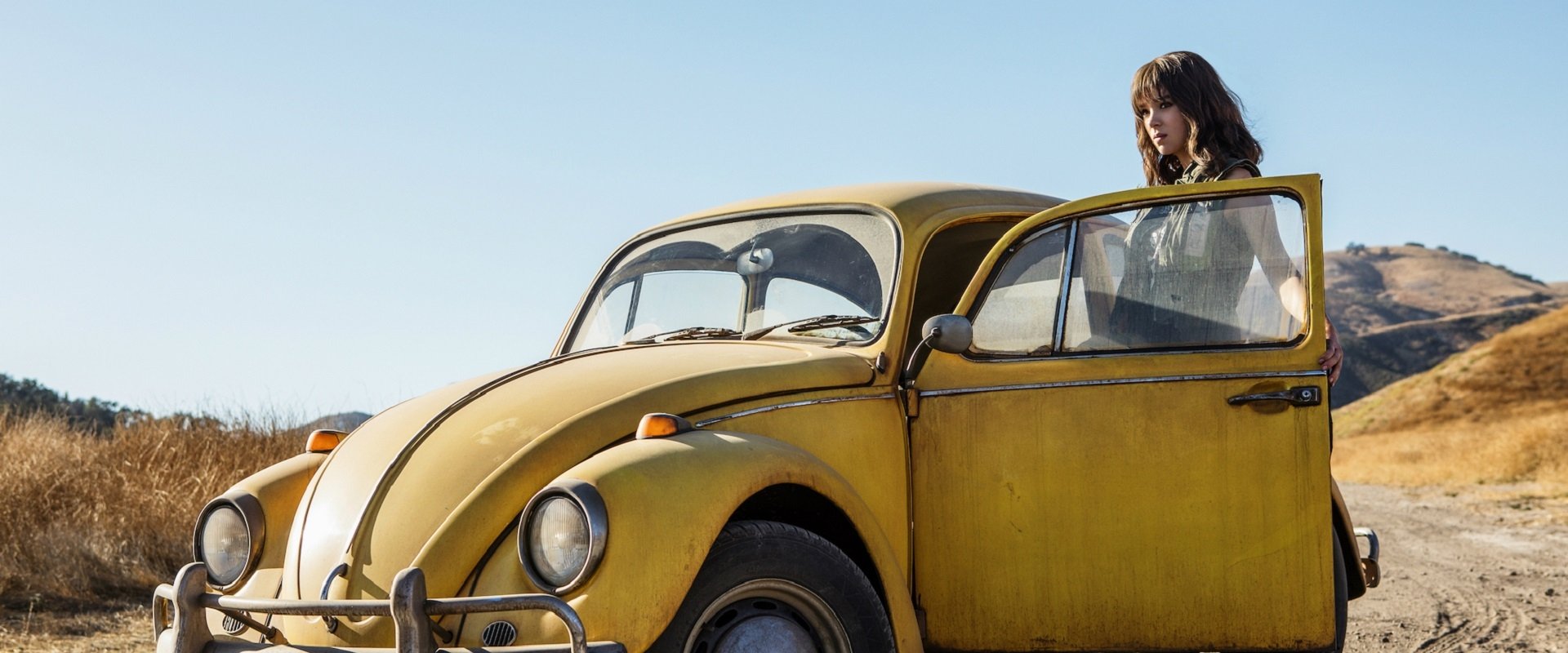 Bumblebee backdrop