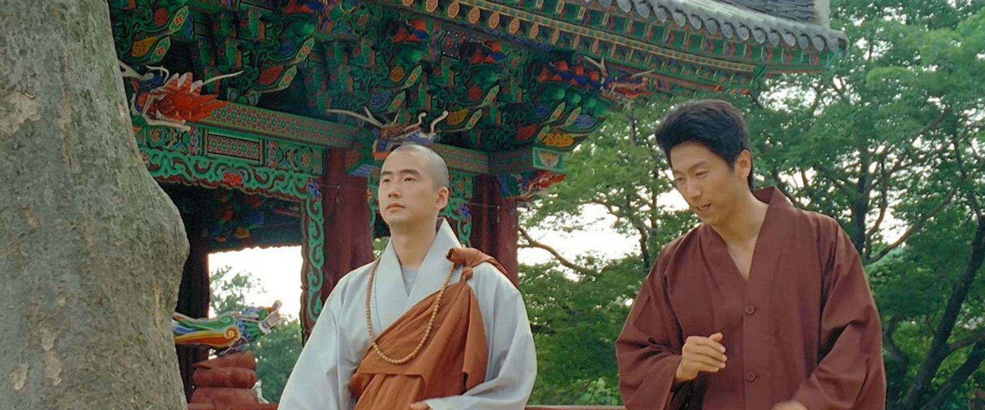 Hi, Dharma! backdrop