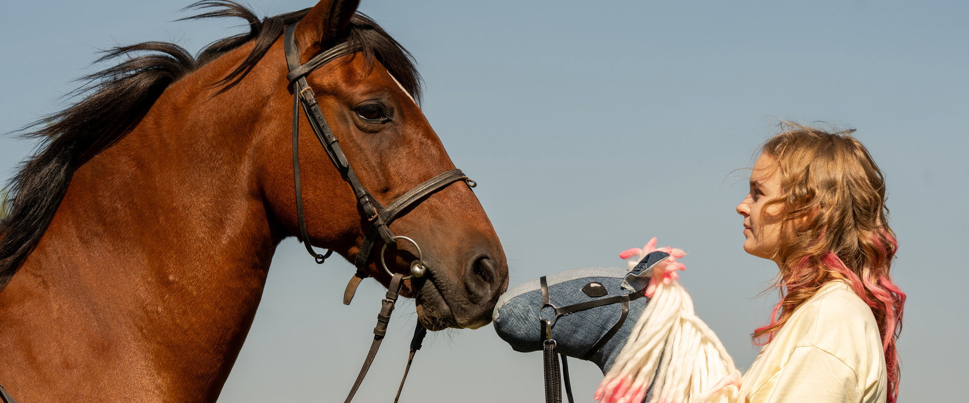 Pferd am Stiel backdrop