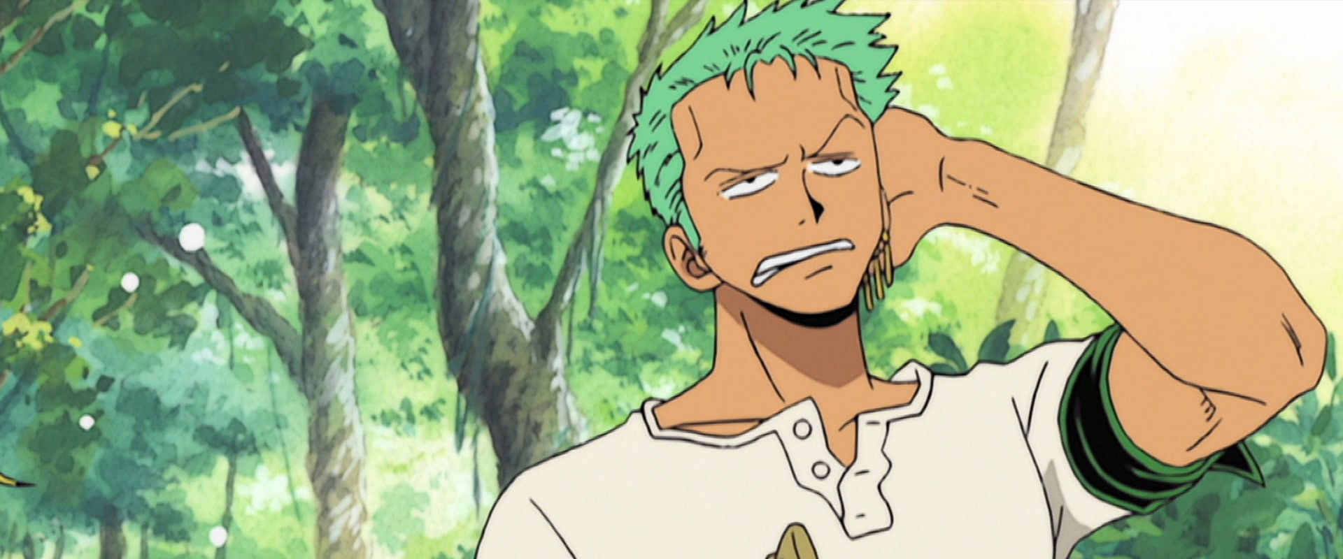 One Piece Special: Open Upon the Great Sea! A Father's Huge, HUGE Dream! backdrop