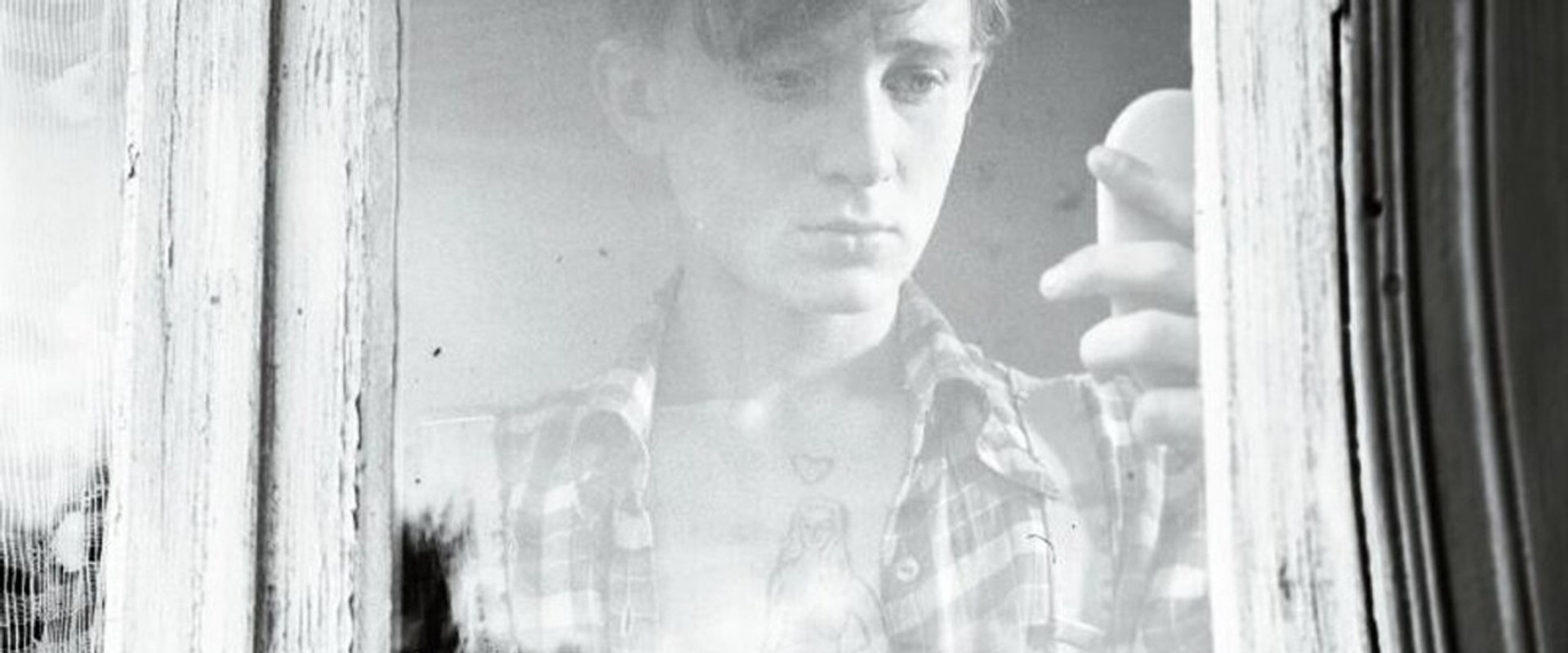 Daisy Petal Game backdrop