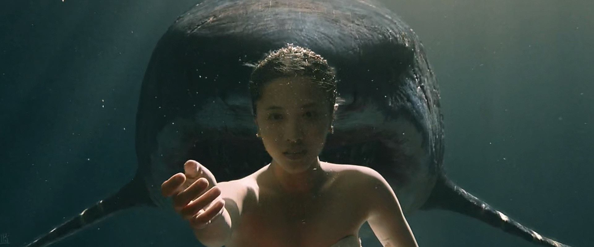 Escape of Shark backdrop