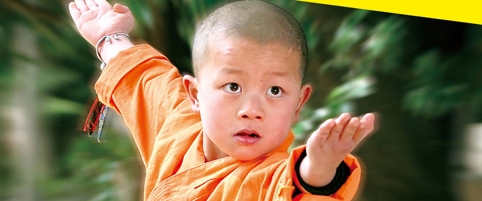 Kung Fu Kid backdrop