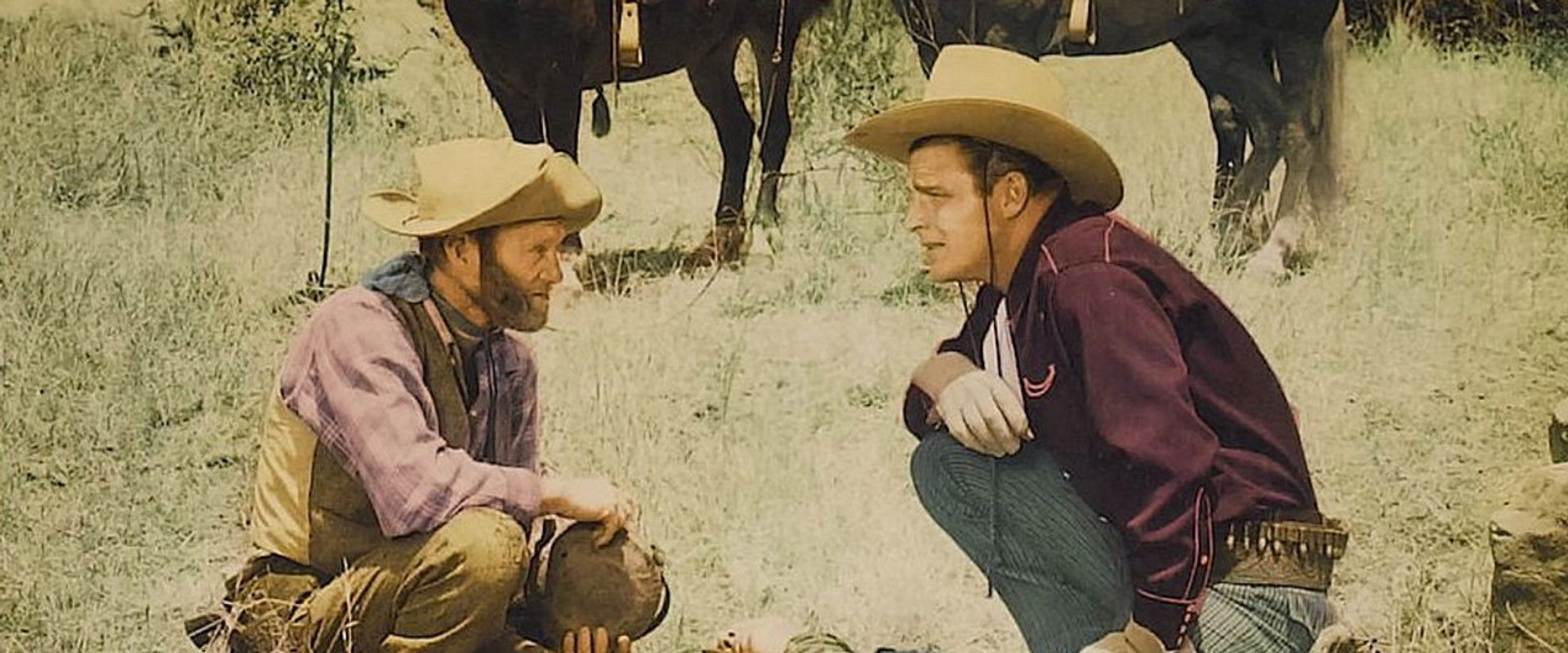 Cattle Stampede backdrop