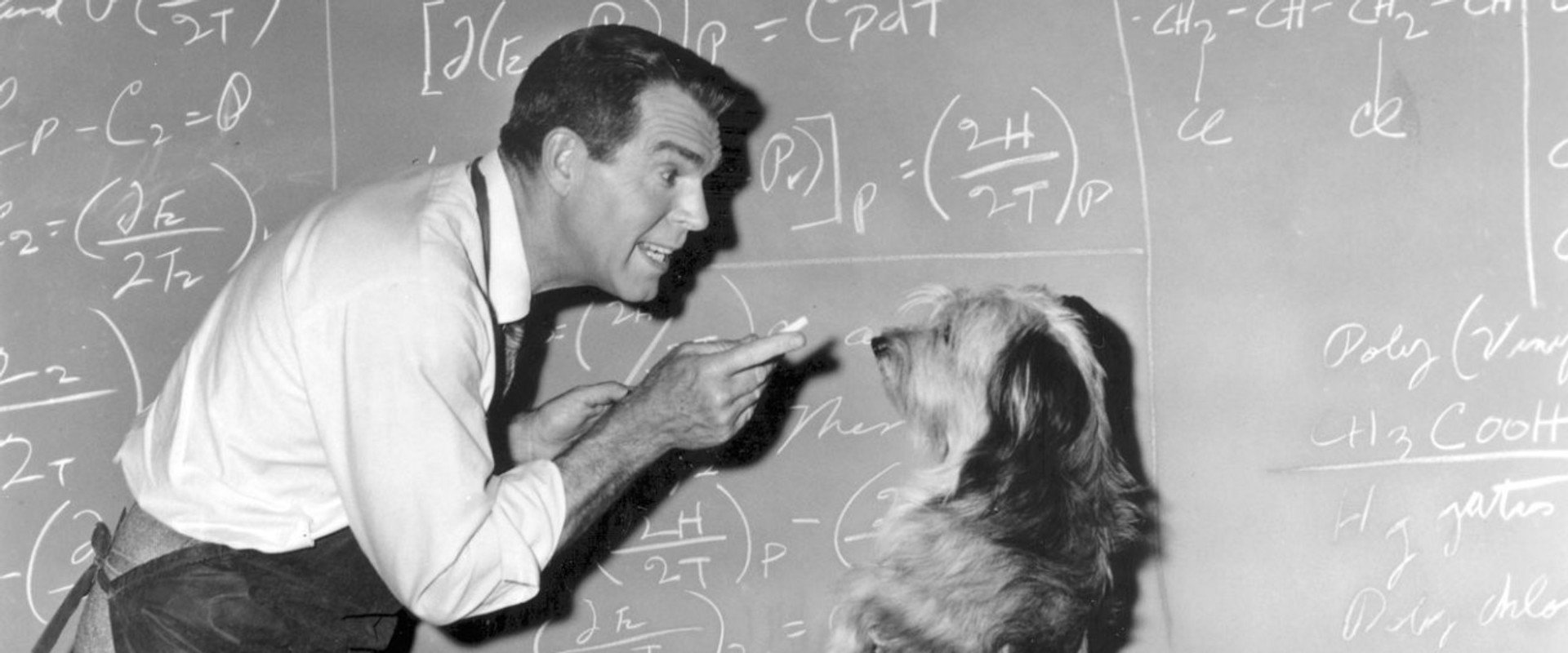 The Absent-Minded Professor backdrop