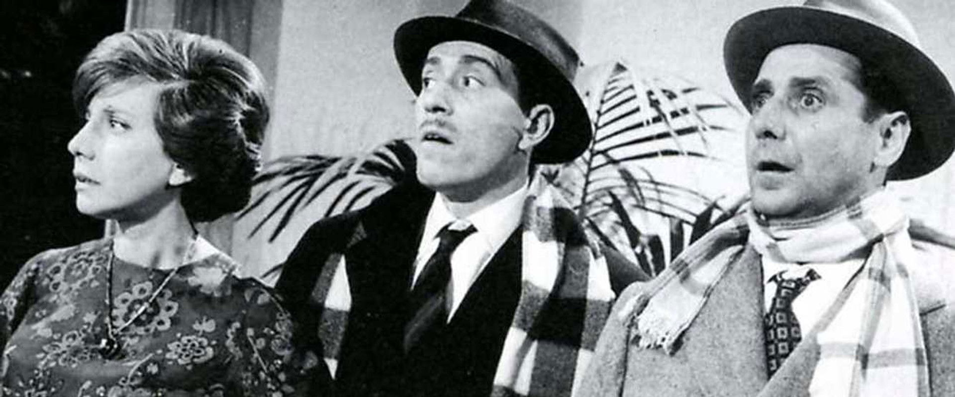 The Palomos backdrop