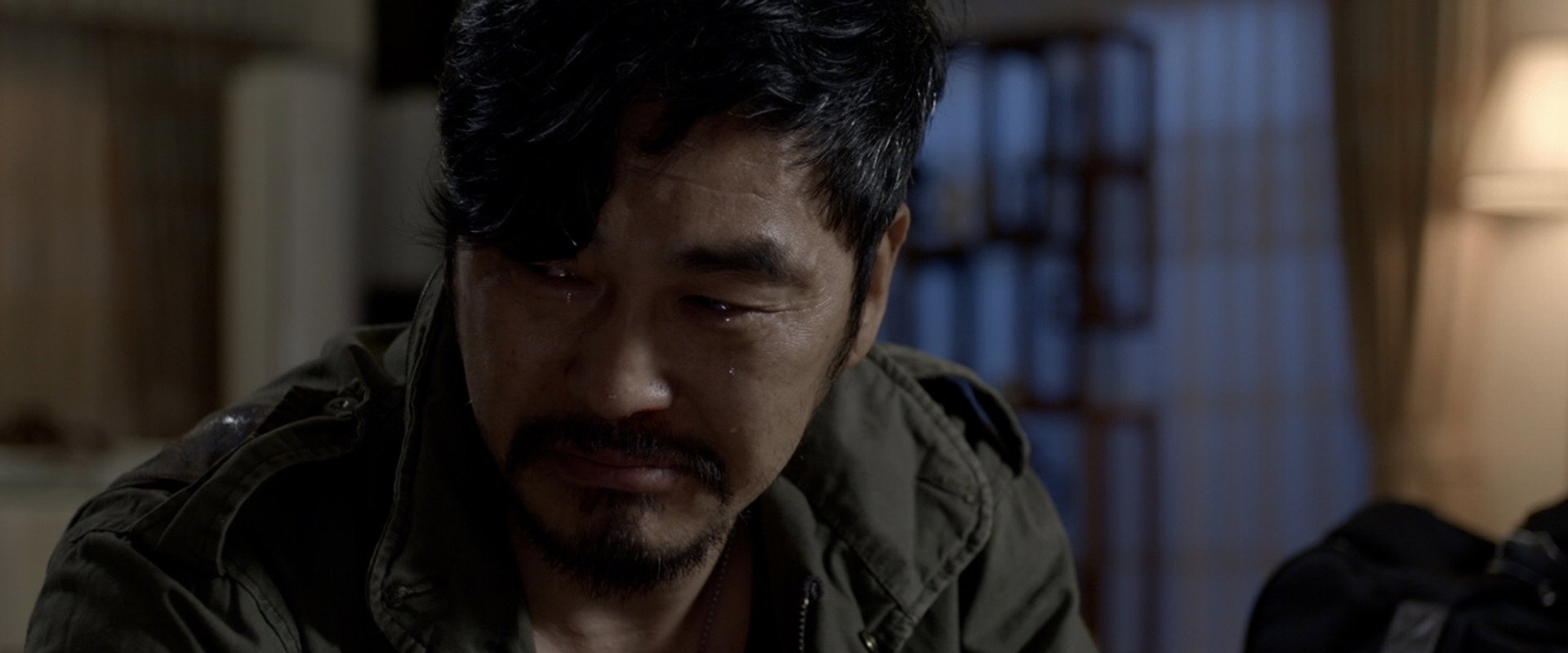 Dogs in the House backdrop