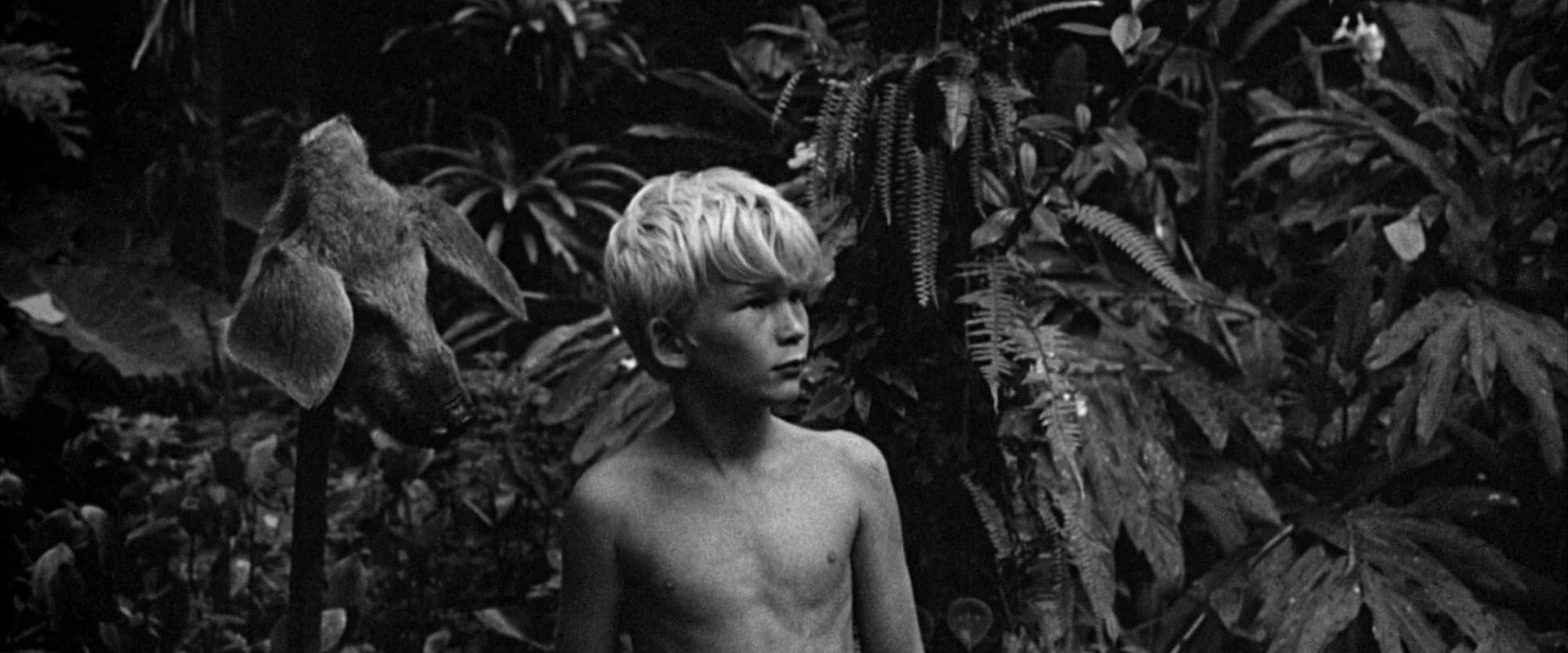 Lord of the Flies backdrop