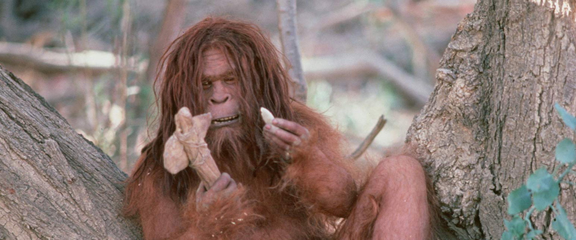 Missing Link backdrop