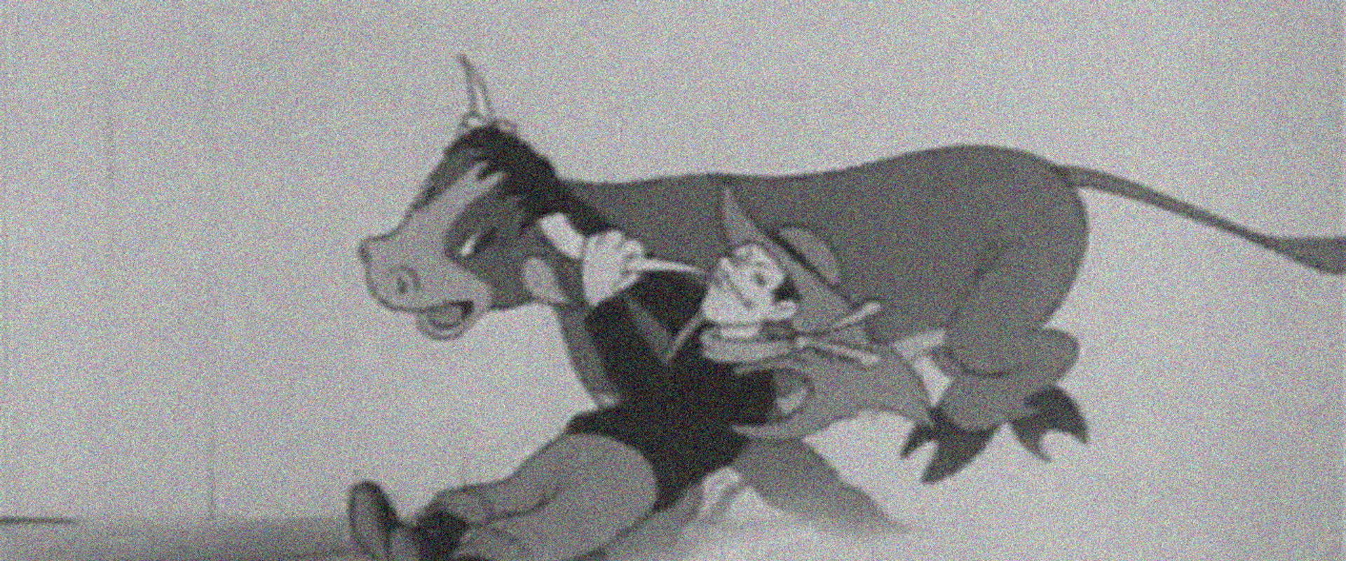 Saps in Chaps backdrop