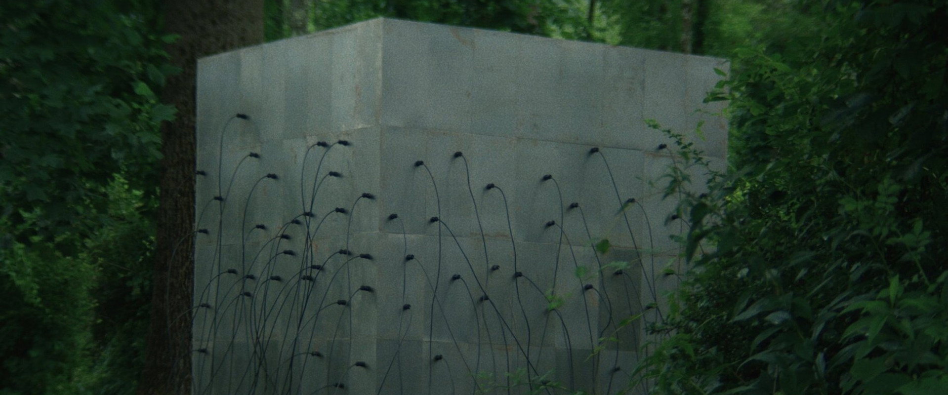 Lapsis backdrop