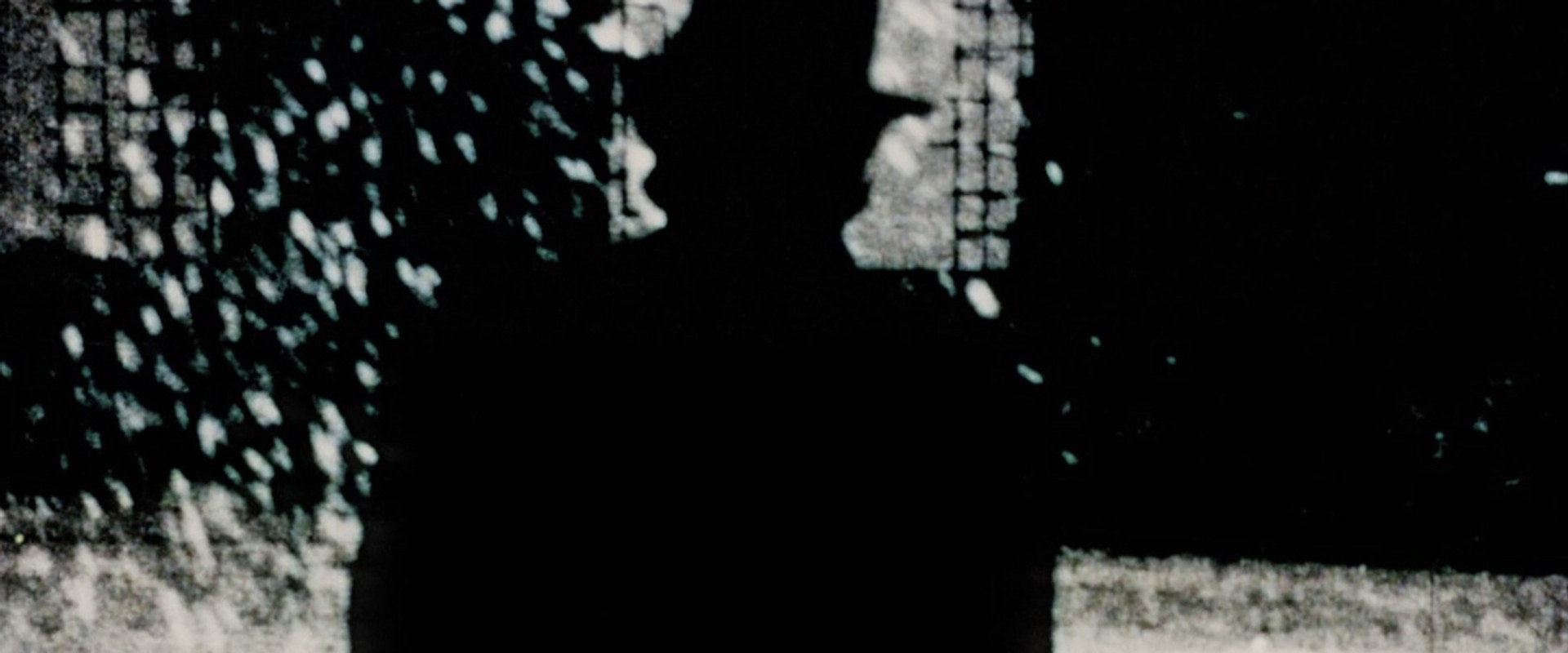 Fellini: A Director’s Notebook backdrop