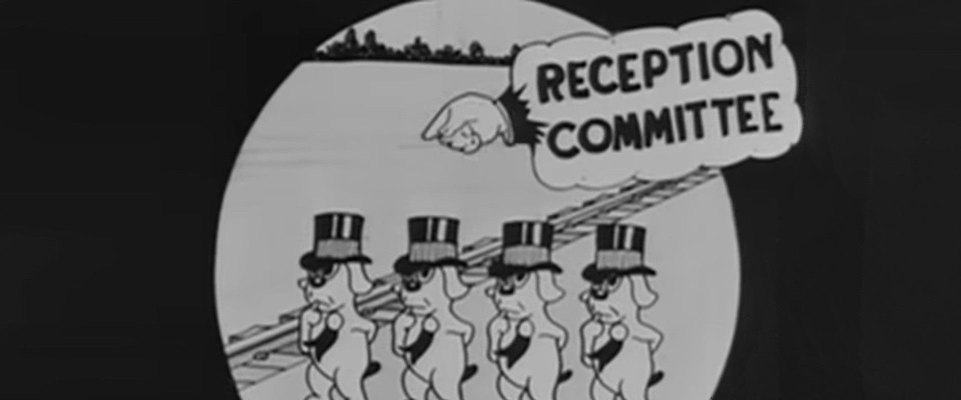 Alice's Wonderland backdrop