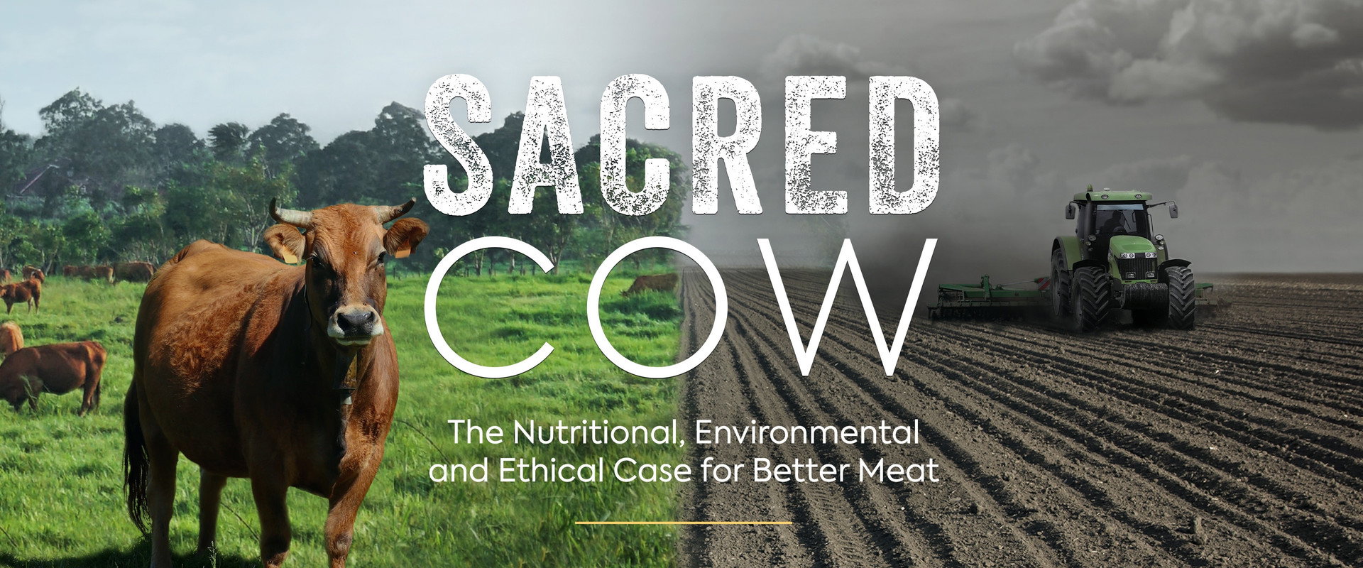 Sacred Cow: The Nutritional, Environmental and Ethical Case for Better Meat backdrop