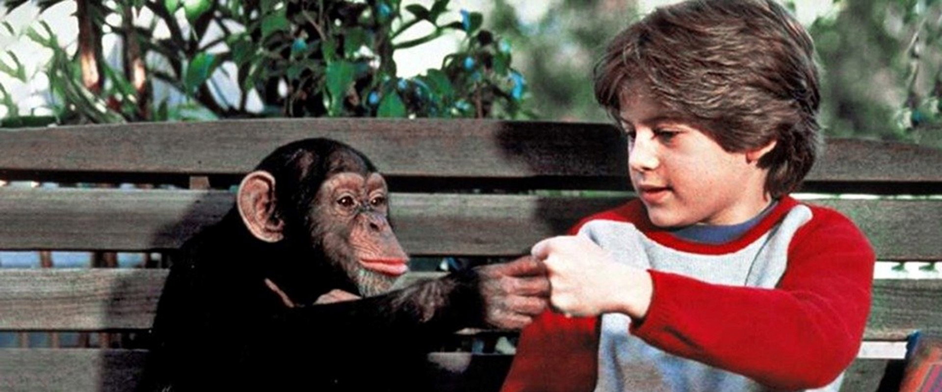 The Jennie Project backdrop