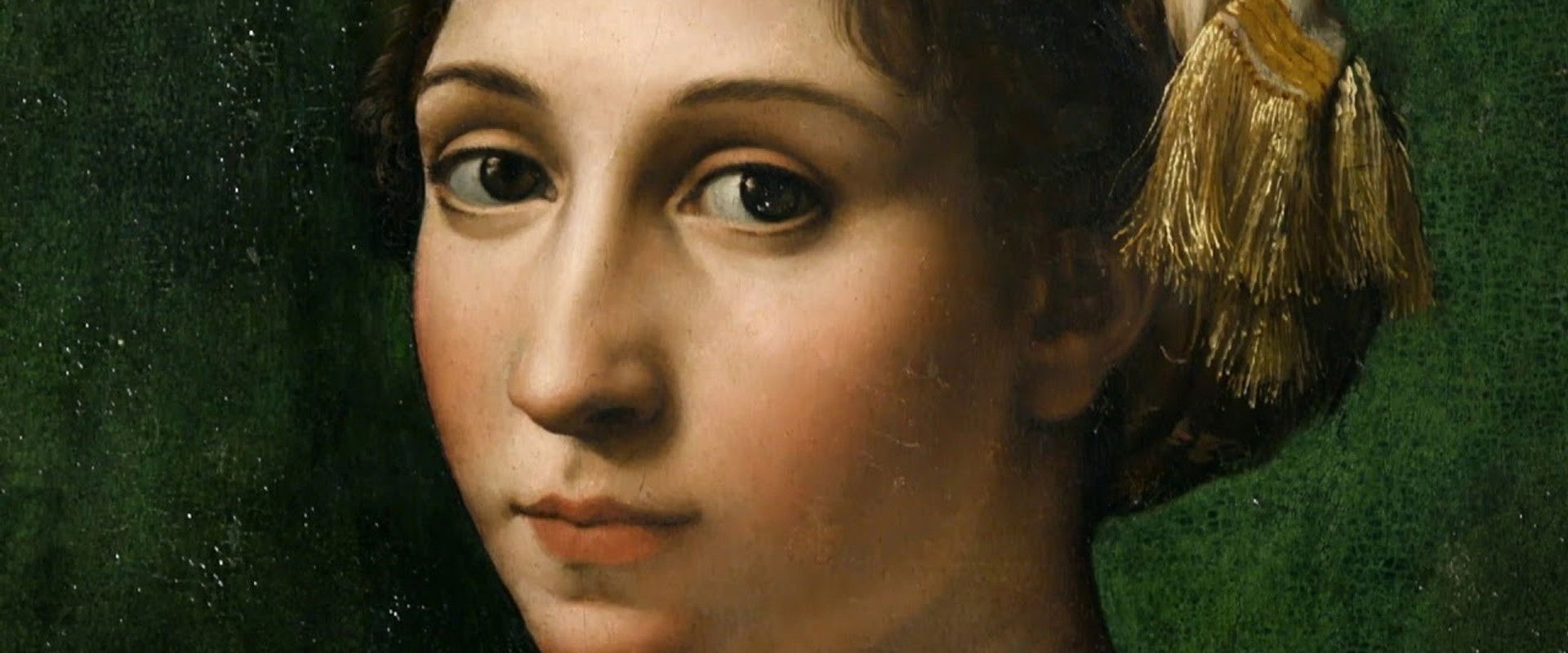 Raphael Revealed backdrop