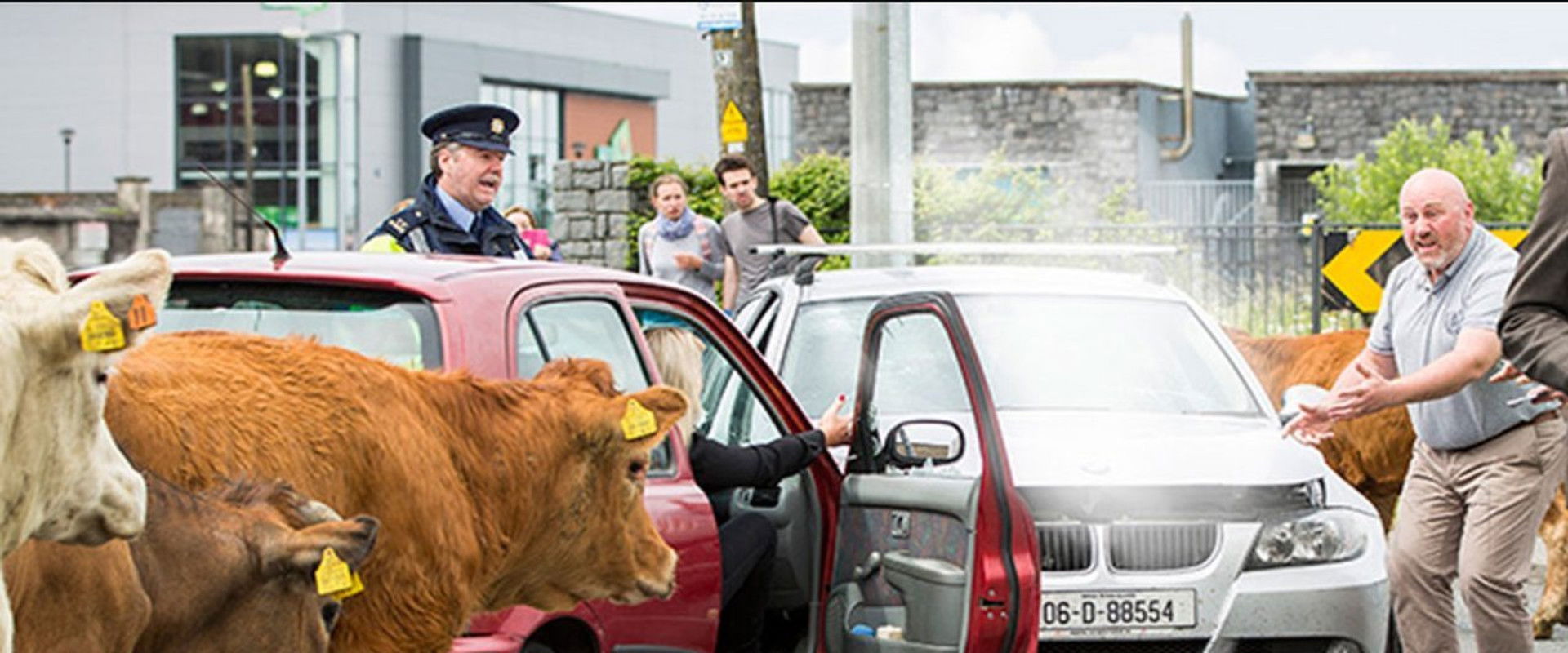 Halal Daddy backdrop