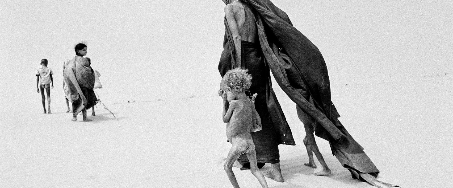 The Salt of the Earth backdrop