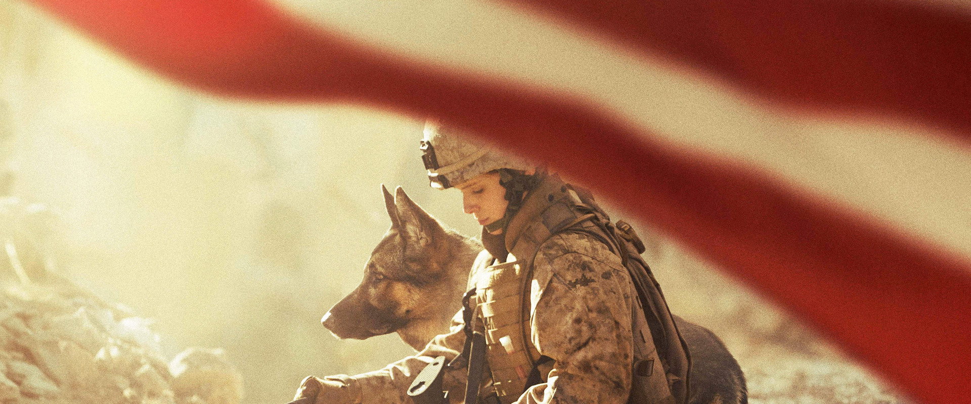 Megan Leavey backdrop