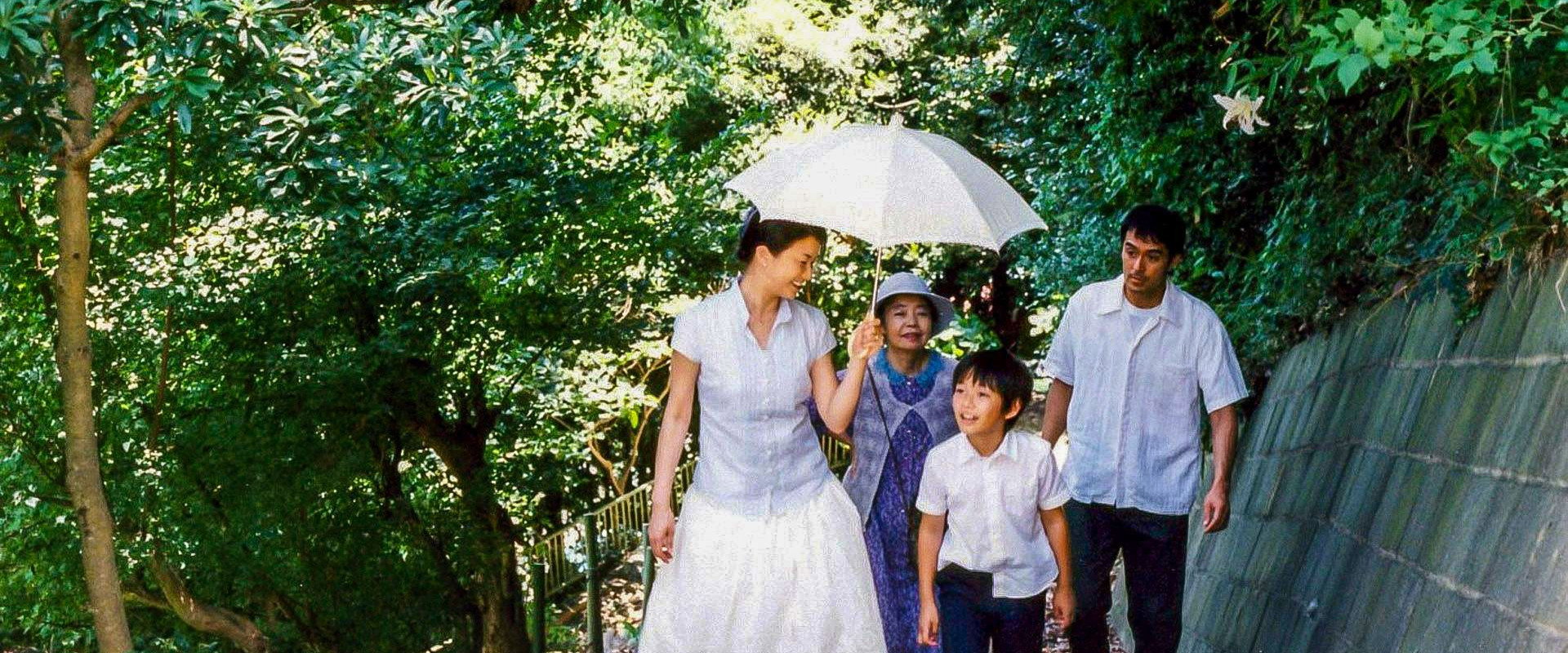 Still Walking backdrop